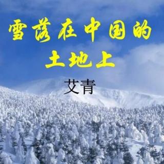 （雪落在中国的土地上）作者：艾青。朗读：我爱我家。