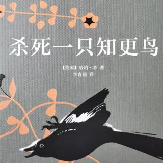 《杀死一只知更鸟》第九章