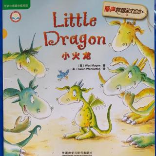 Little Dragon