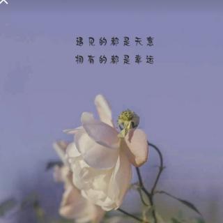 张紫涵阅读打卡2020.6.10