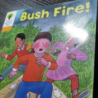 杨铭宇复述bush fire