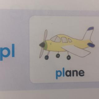 自然拼读plplane飞机plum李子plate盘子