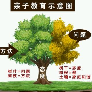 《父母规》29