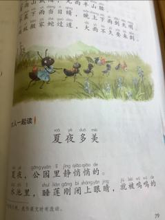 夏夜多美丽