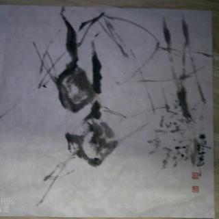 《楼兰叙，流逝》作者白丁 朗诵庭苹远山