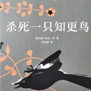 《杀死一只知更鸟》第十章