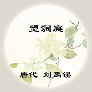 刘禹锡——《望洞庭》