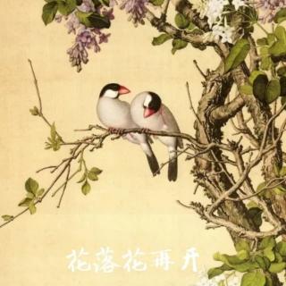 中篇小说《花落花再开》之二