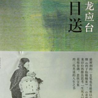 9、龙应台‖《目送》第一章：有些路啊，只能一个人走(8)1964