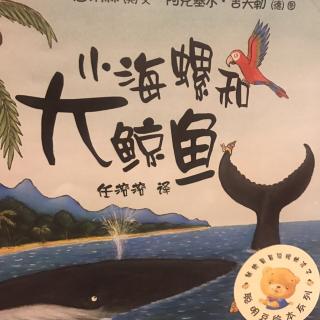 小海螺和大鲸鱼