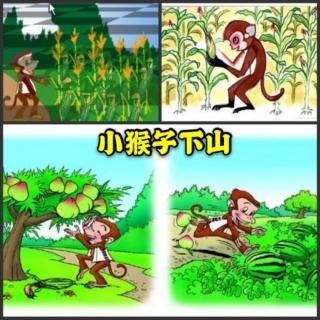 课文 | 小猴子下山🐵