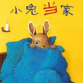 睡前小故事358  绘本《小兔当家》