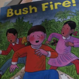 杨铭宇复述Bush fire