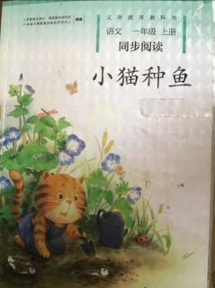 2020612小猫种鱼1