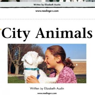 City Animals