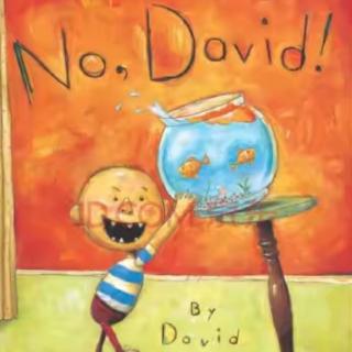 No,David!