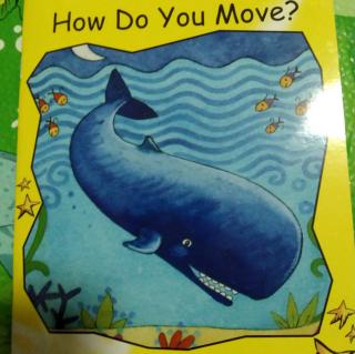 How Do You Move?