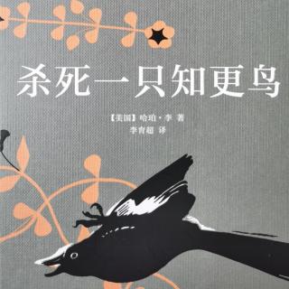 《杀死一只知更鸟》第十二章