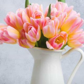 【苏七块】在线收听_潘俊臣94_荔枝