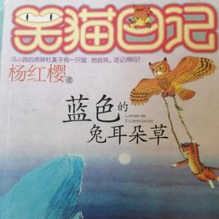 豹尾岭上的公花豹