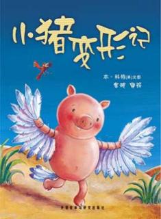 幼儿绘本故事《小猪变形计》