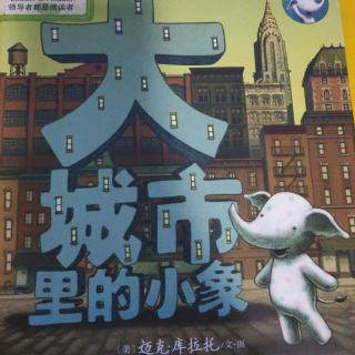 《大城市里的小象》~幼稚绘晚安绘本故事