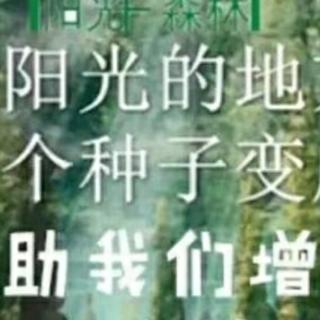 贫穷和疾病的她，遇见了阳光森林