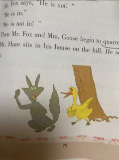 24 Mr fox and Mr Hare（2）