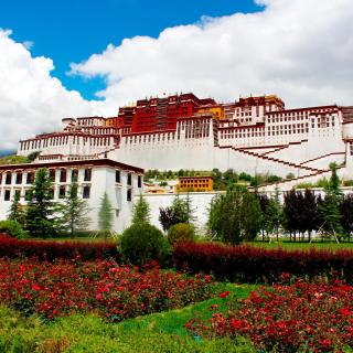 西藏—寻找遗失的自我