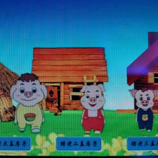 三只小猪盖房子🏠