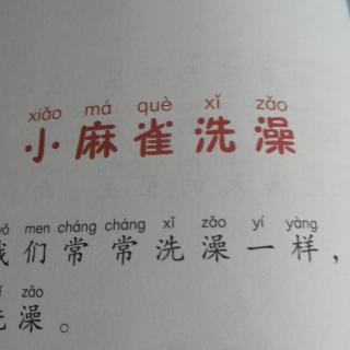 小麻雀洗澡