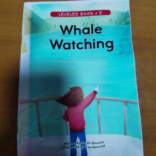 whalewatching
