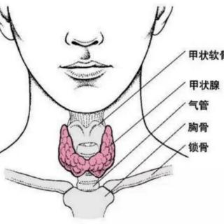 产后甲状腺炎的实验室检查有哪些？