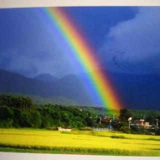 雨后为什么会有彩虹