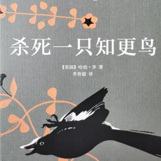 《杀死一只知更鸟》第十四章