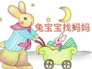 兔宝宝找妈妈
