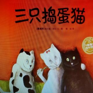 《三只捣蛋猫》