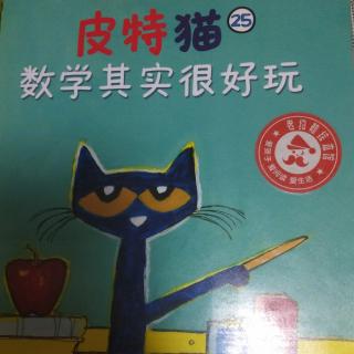 文化路幼儿园大一班孙博莹第159期《皮特猫数学其实很好玩》