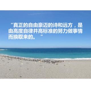 @一个技能：关于引导分期支付的启发。