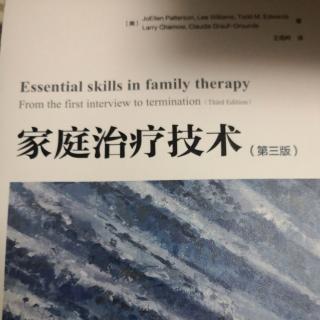 第三章《家庭治疗技术》