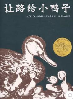 育红幼儿园🌞第45个睡前故事《让路给鸭子》