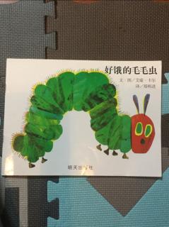 好饿的毛毛虫🐛