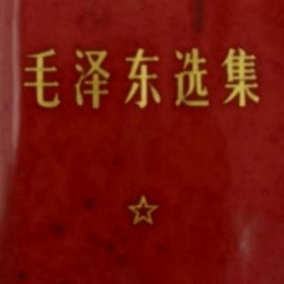 《毛选》第二卷 09 论持久战 主动性、灵活性、计划性（下）