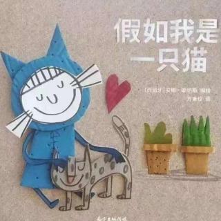 假如我是一只猫