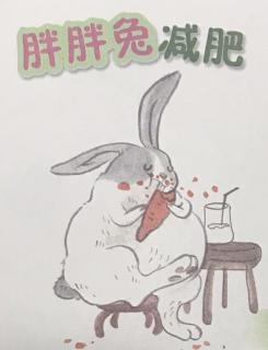 胖胖兔减肥