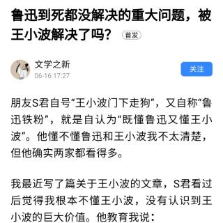 鲁迅到死都没解决的重大问题，被王小波解决了吗？