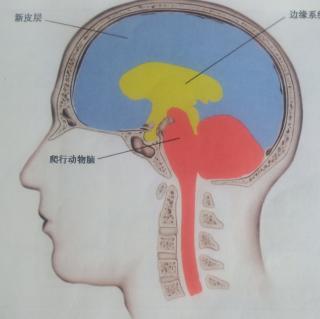 【心理学】意识异常导致精神疾病