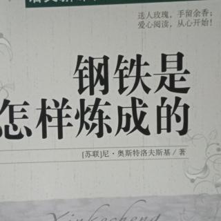 《钢铁是怎样炼成的》