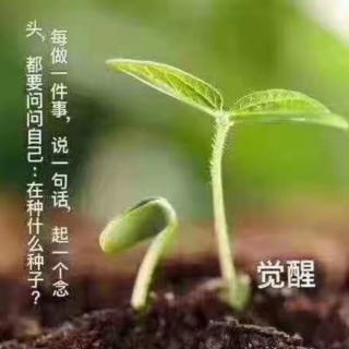 20206.17  《扫掉八颗心》第一遍