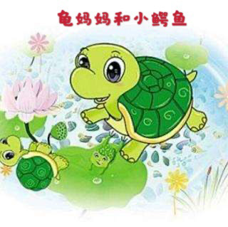 【海贝睡前故事】园长妈妈睡前故事89《乌龟🐢妈妈和小鳄鱼🐊》